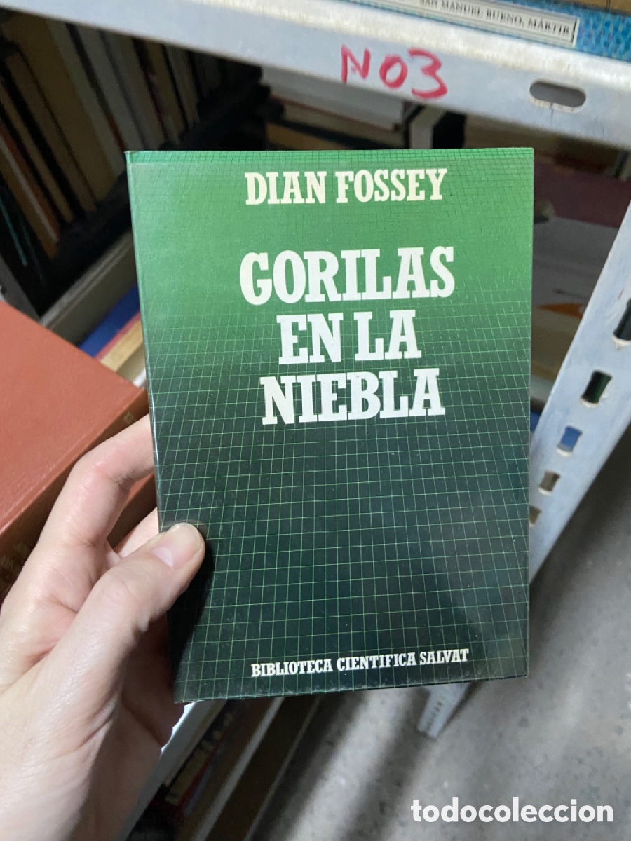 Libros de segunda mano: Blas36D DIAN FOSSEY GORILAS en la NIEBLA - Foto 1