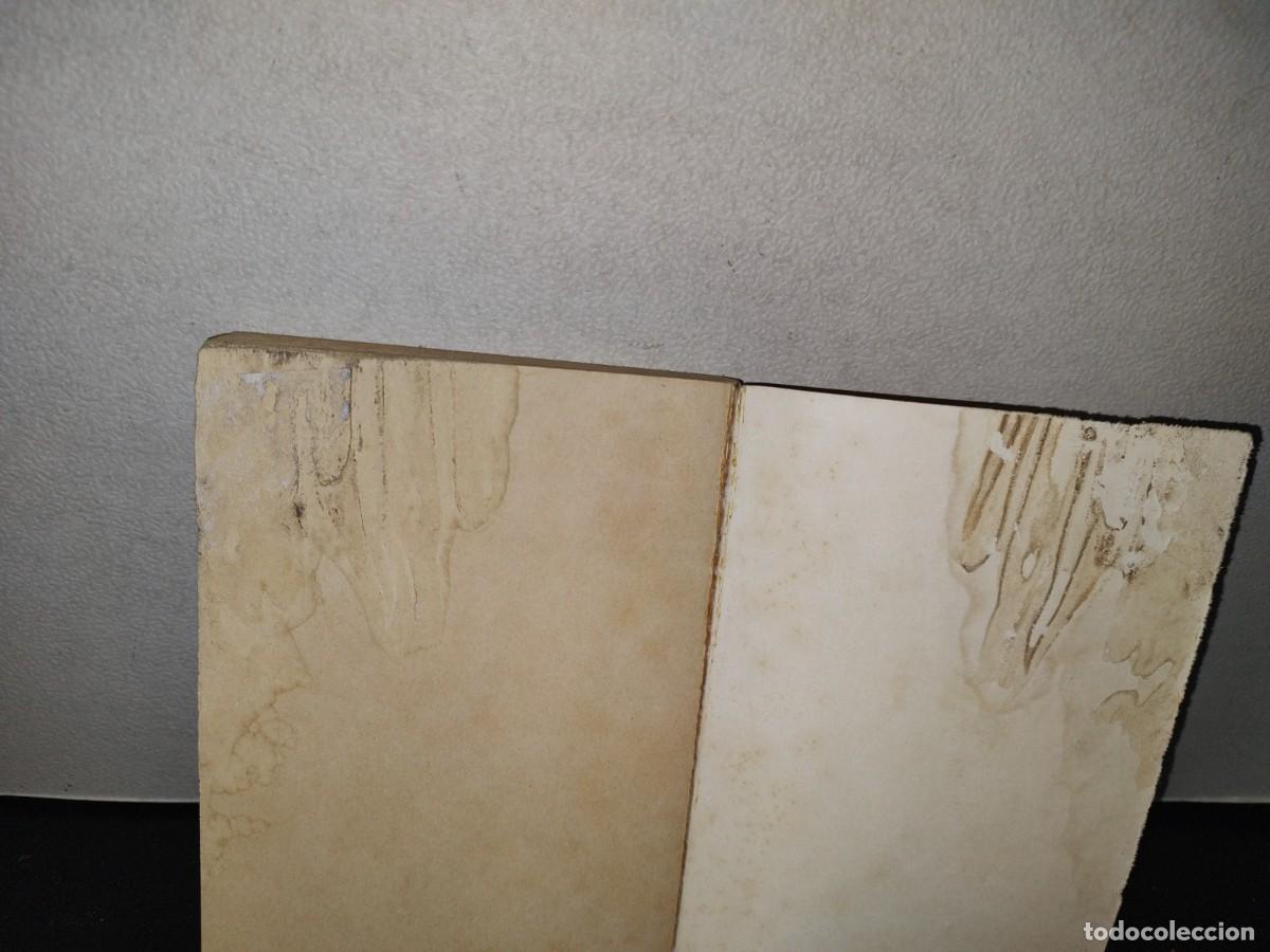 Libros de segunda mano: 83- EL COMPLEJO DE ALEJANDRO MAGNO - MICHAEL MEYER - Foto 4