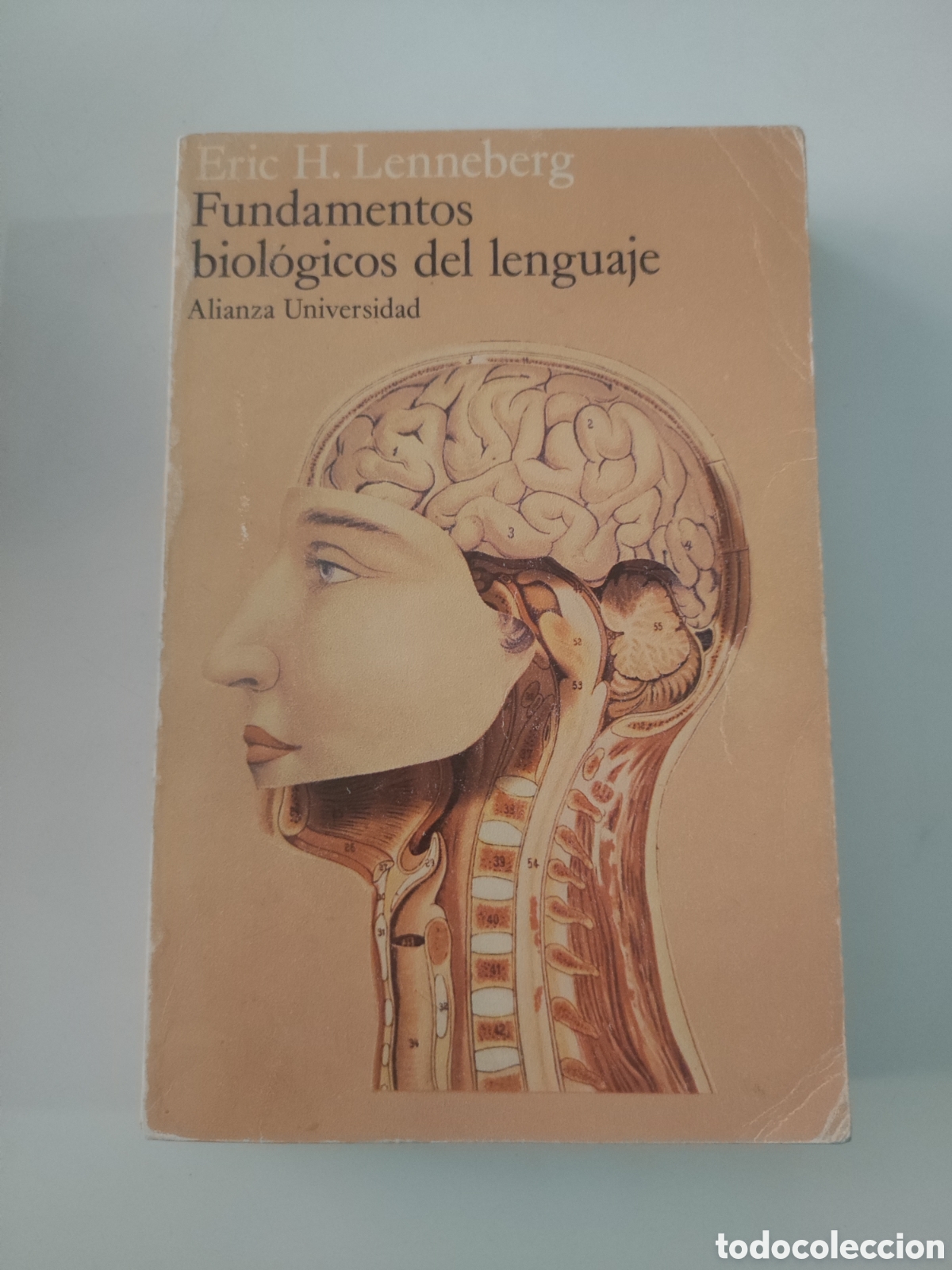 Libros de segunda mano: FUNDAMENTOS BIOLOGICOS DEL LENGUAJE .- E H Lennberg - Foto 1