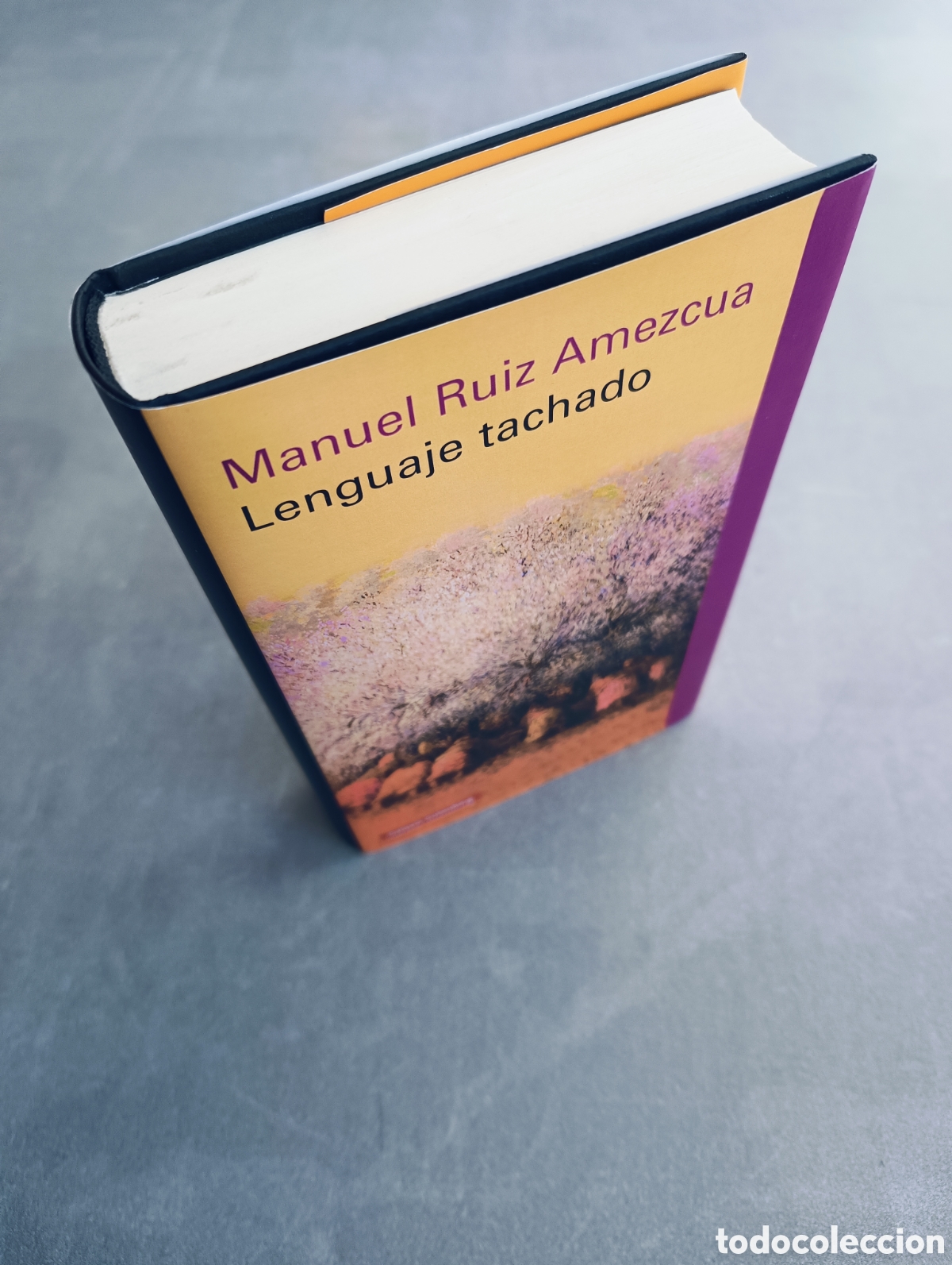 Libros de segunda mano: Lenguaje tachado. Manuel Ruiz Amezcua. - Foto 3