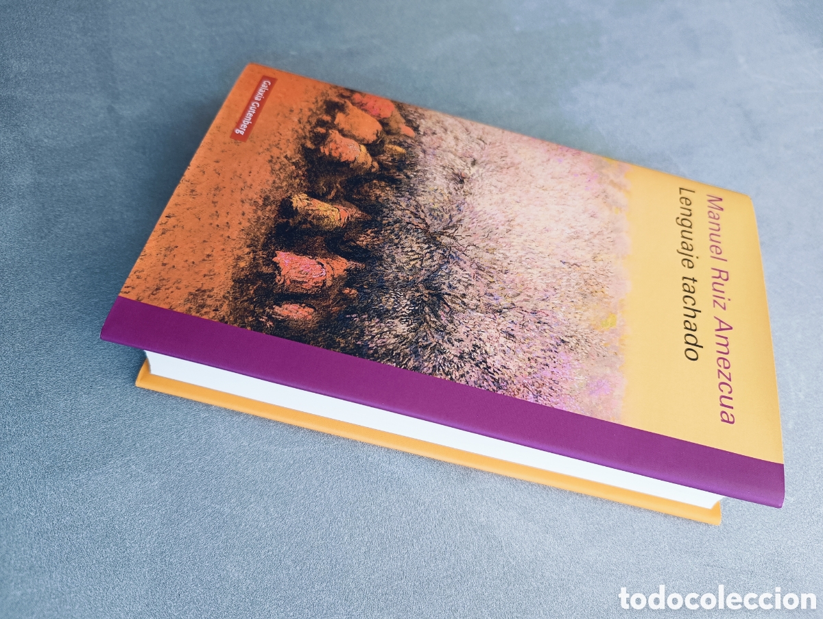 Libros de segunda mano: Lenguaje tachado. Manuel Ruiz Amezcua. - Foto 5