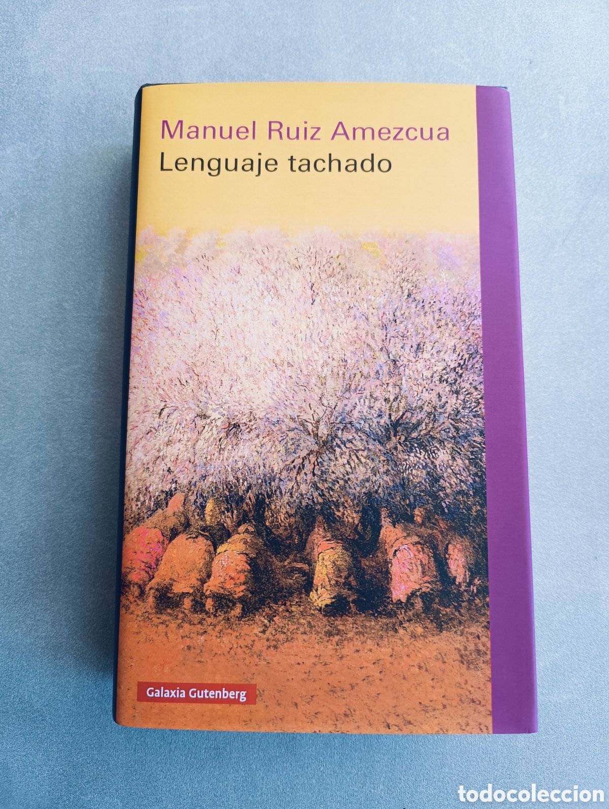 Libros de segunda mano: Lenguaje tachado. Manuel Ruiz Amezcua. - Foto 1