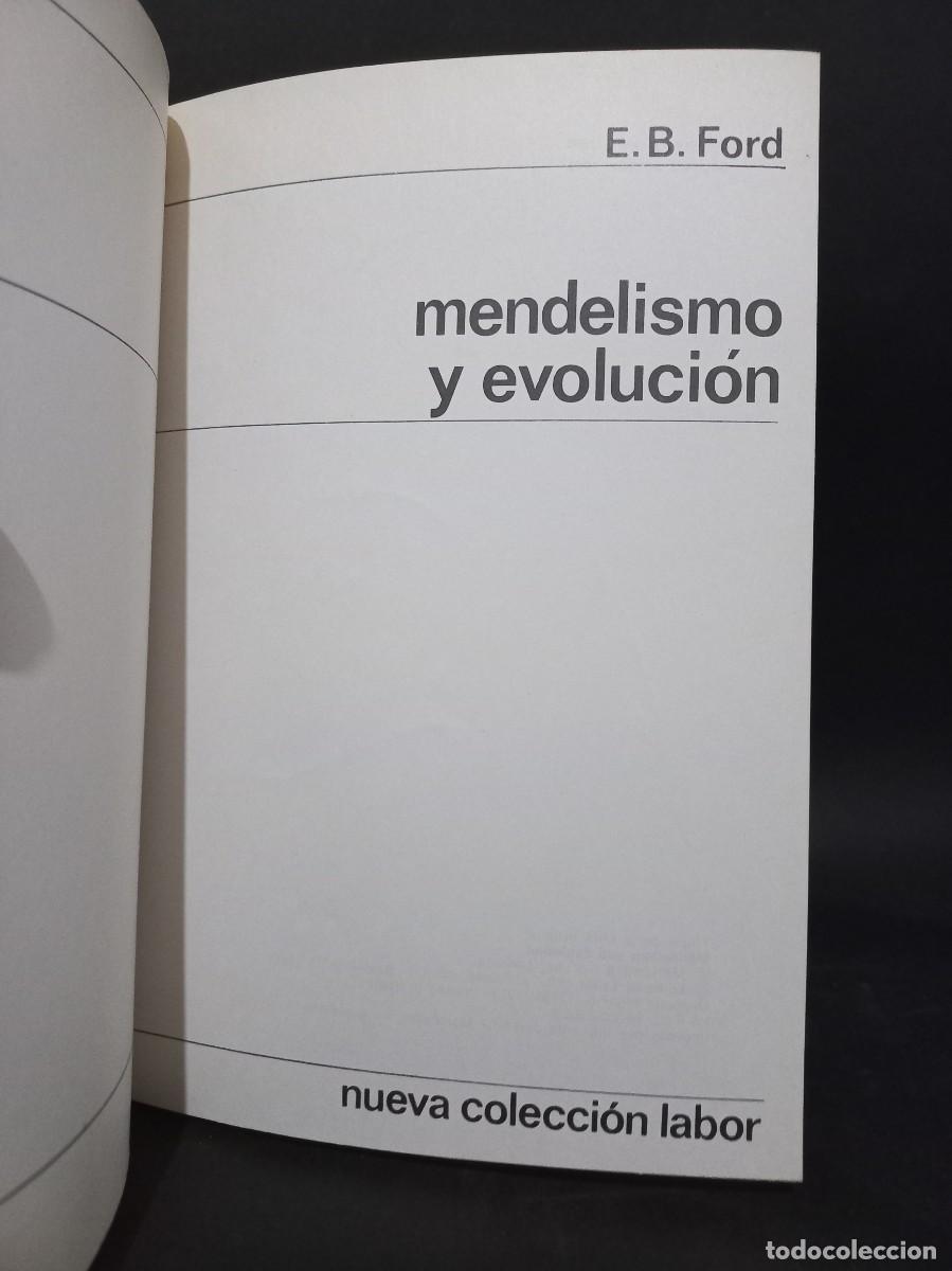 Libros de segunda mano: E. B. FORD - MENDELISMO Y EVOLUCI&Oacute;N - 1973 - Foto 2