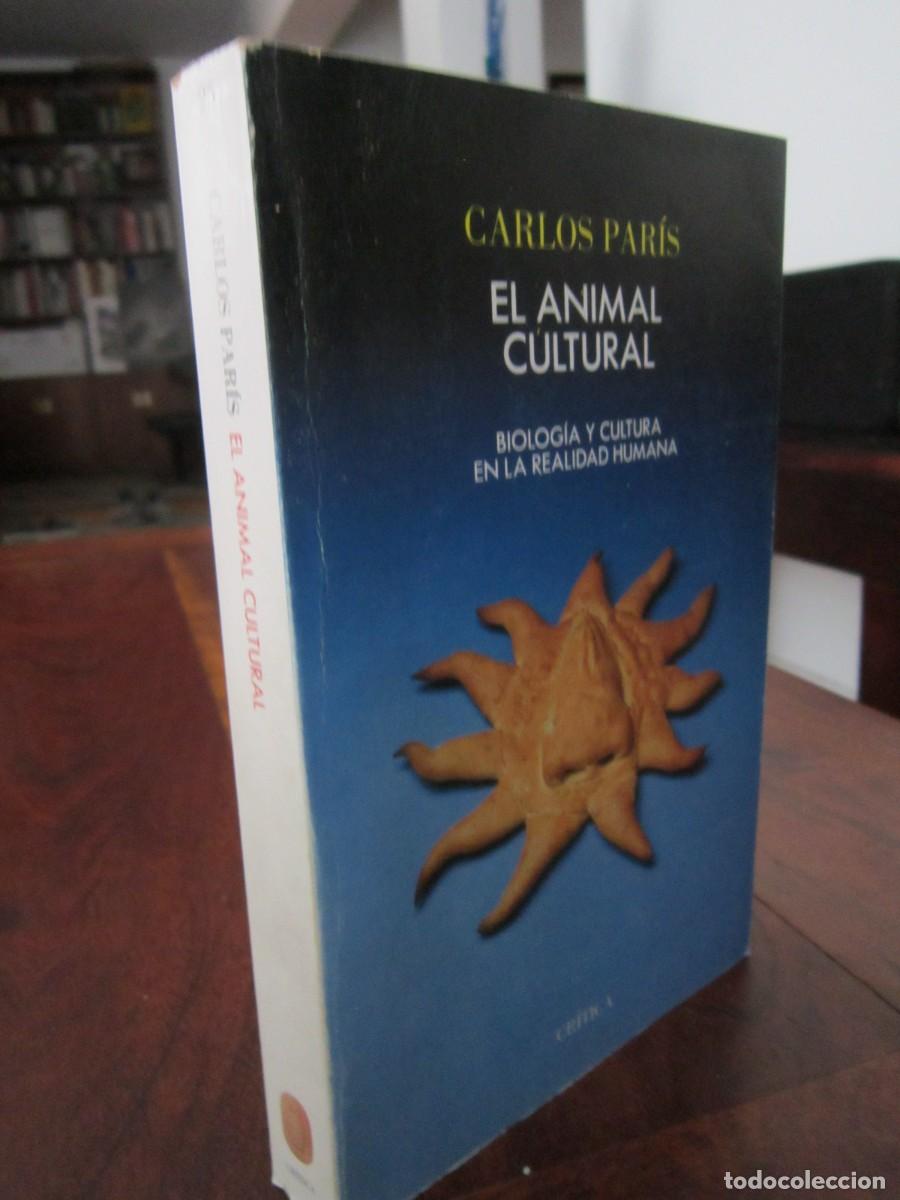 Libros de segunda mano: EL ANIMAL CULTURAL. Biolog&iacute;a y cultura en la realidad humana. Carlos Par&iacute;s Amador. Cr&iacute;tica Grijalbo