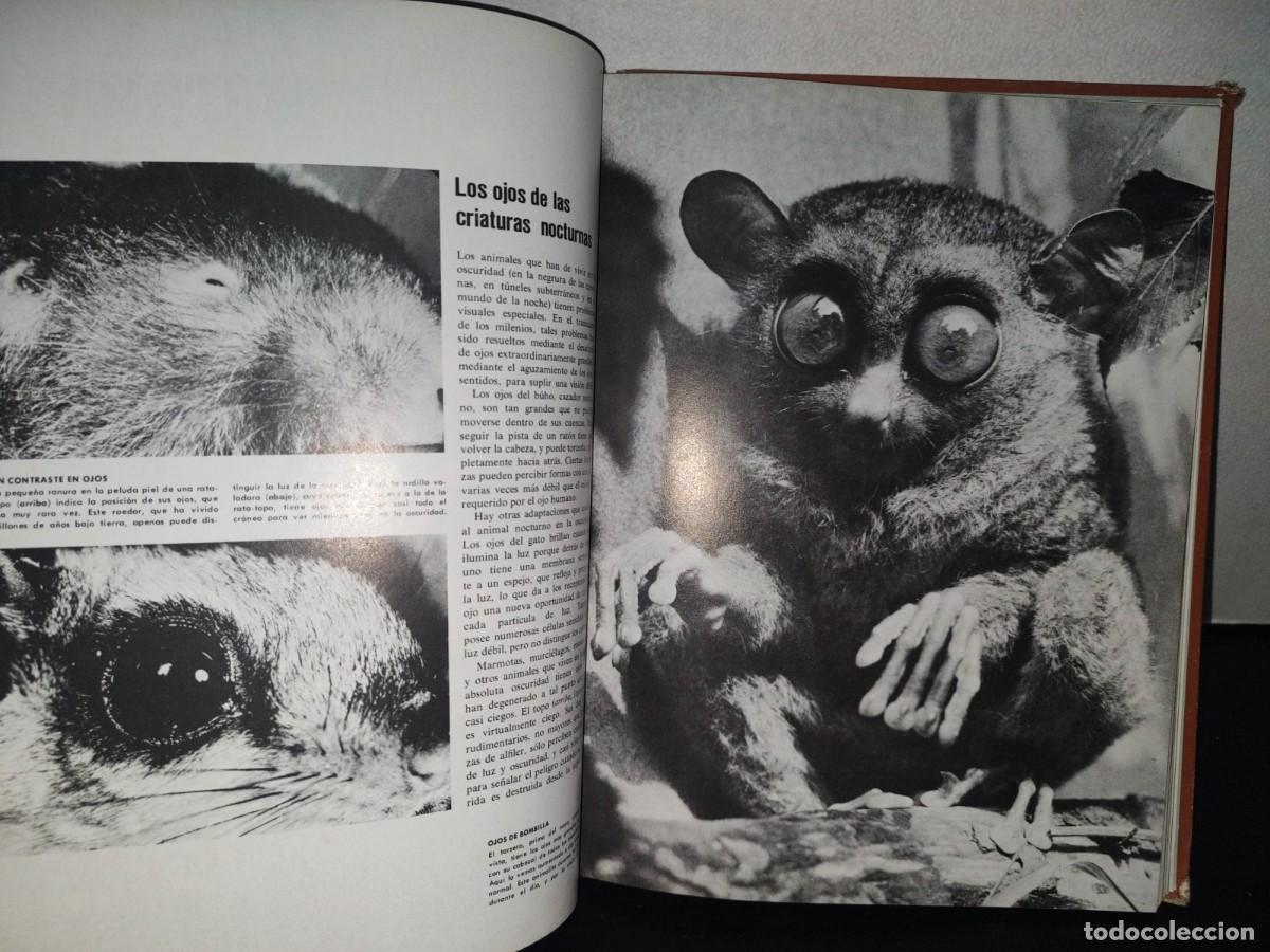 Libros de segunda mano: 134- LUZ Y VISI&Oacute;N - COLECCI&Oacute;N CIENT&Iacute;FICA DE TIME LIFE - 1974 - Foto 7