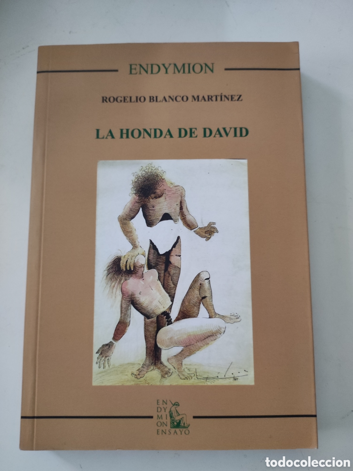 Libros de segunda mano: LA HONDA DE DAVID .- Rogelio Blanco Martinez - Foto 1