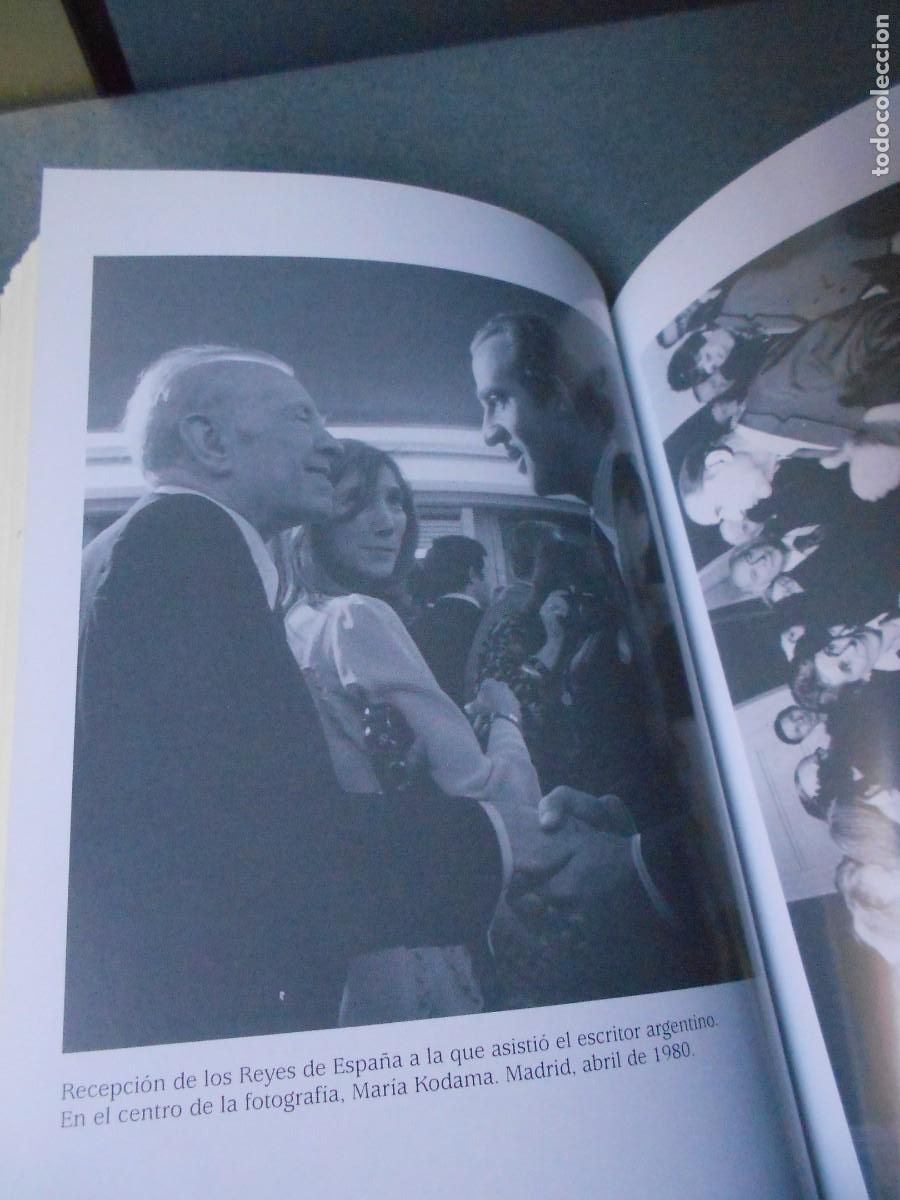 Libros de segunda mano: LOS DOS BORGES - Foto 6