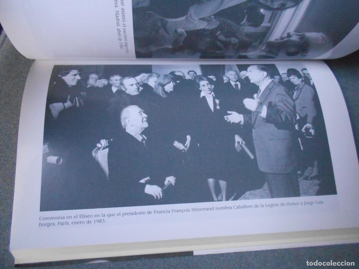 Libros de segunda mano: LOS DOS BORGES - Foto 7