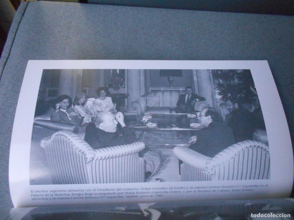 Libros de segunda mano: LOS DOS BORGES - Foto 8
