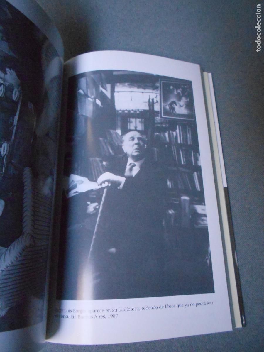 Libros de segunda mano: LOS DOS BORGES - Foto 9