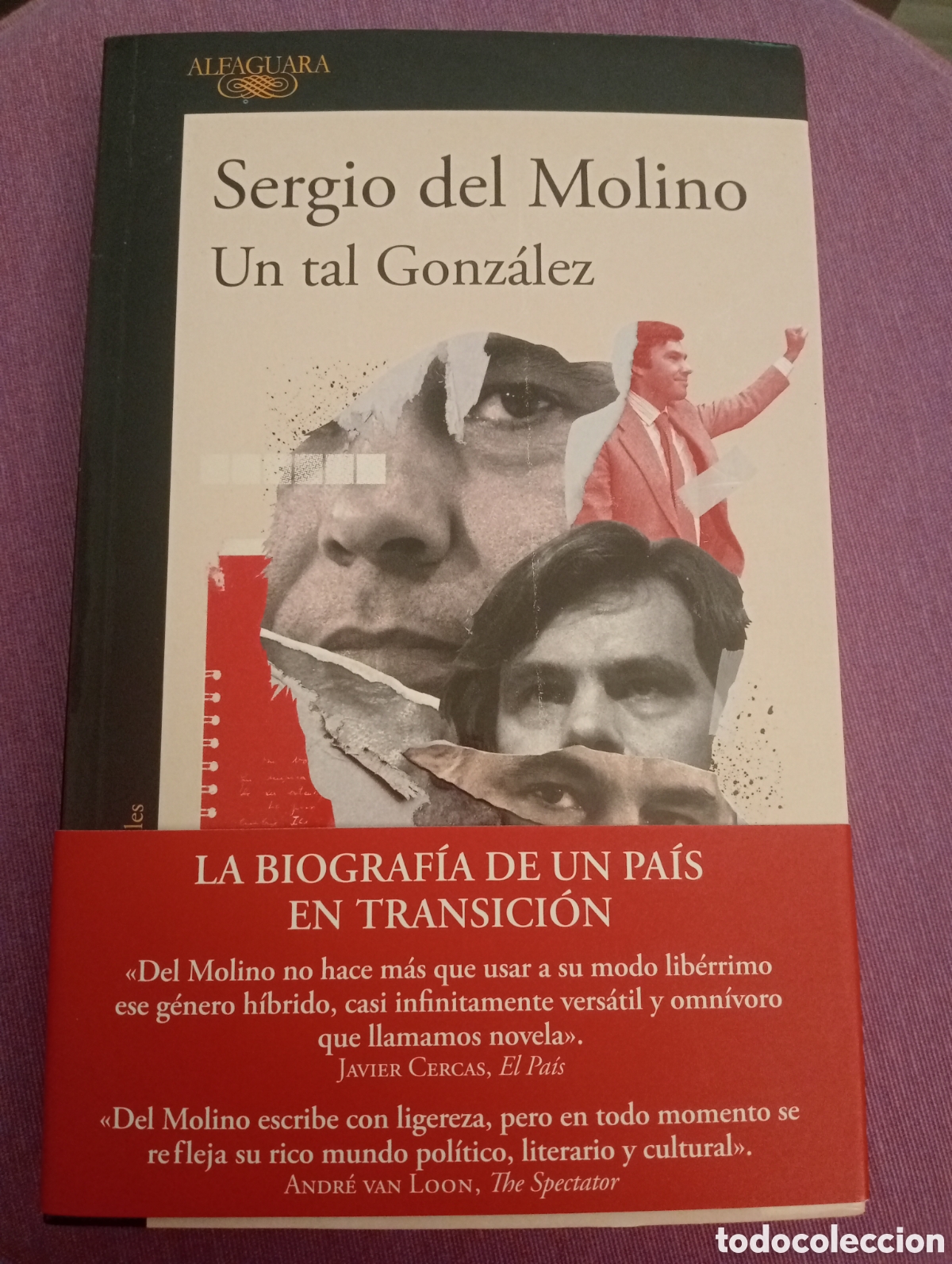 Libros de segunda mano: Sergio del Molino . Un tal Gonzalez . Alfaguara - Foto 1