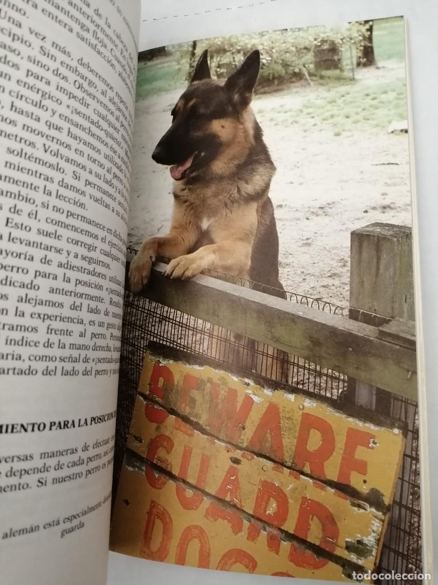 Libros de segunda mano: EL PERRO. Su adiestramiento y entrenamiento - Foto 3