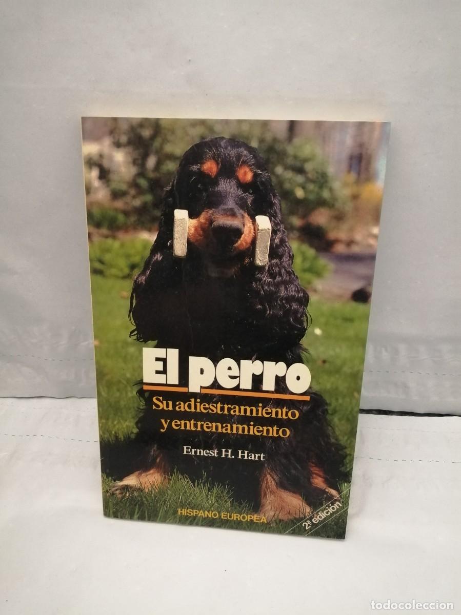Libros de segunda mano: EL PERRO. Su adiestramiento y entrenamiento - Foto 1
