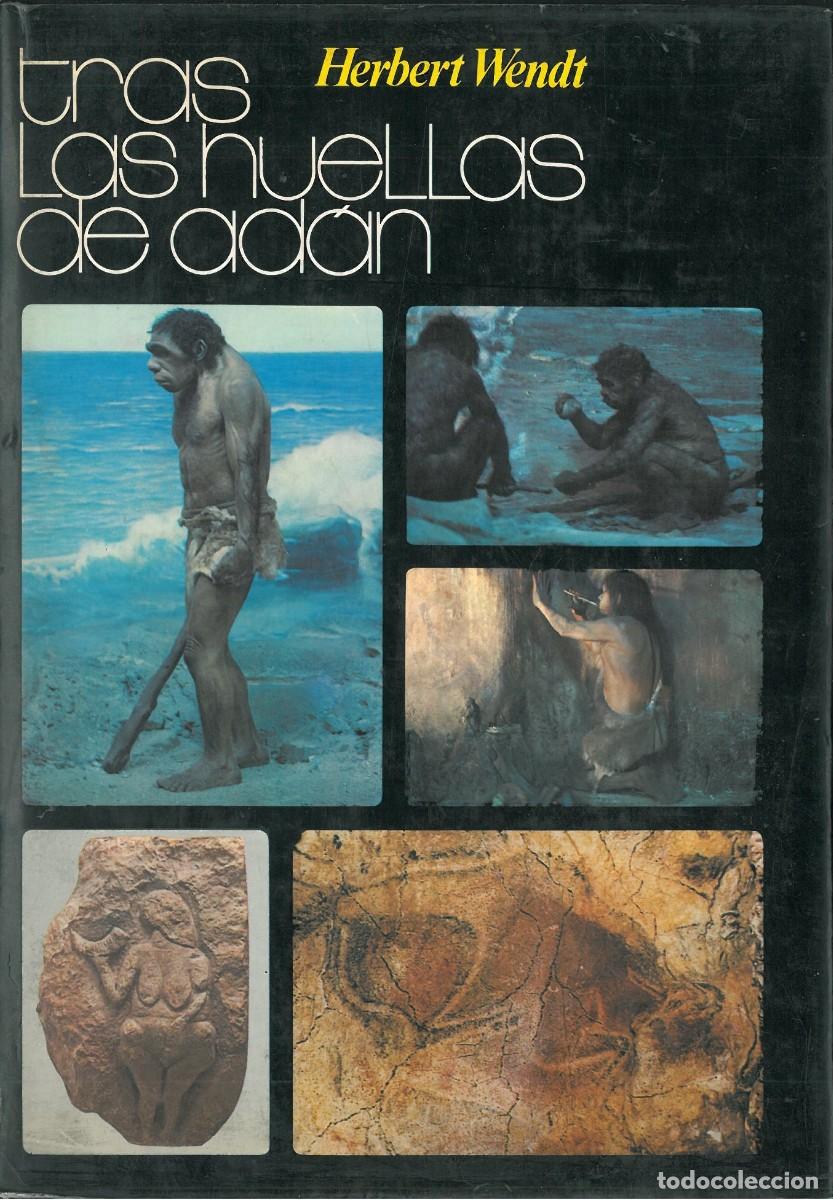 Libros de segunda mano: Tras las huellas de Ad&aacute;n - Wendt, Herbert - Foto 1