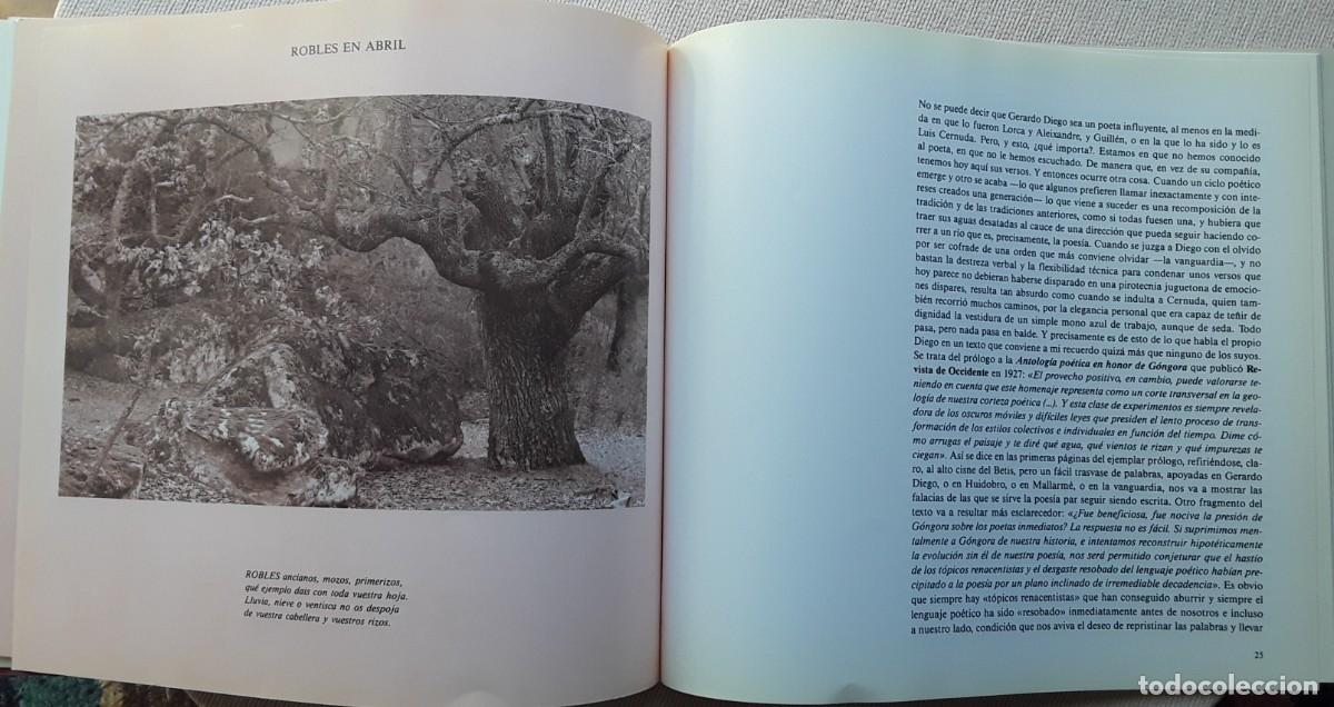 Libros de segunda mano: SORIA SUCEDIDA. GERARDO DIEGO. - Foto 6