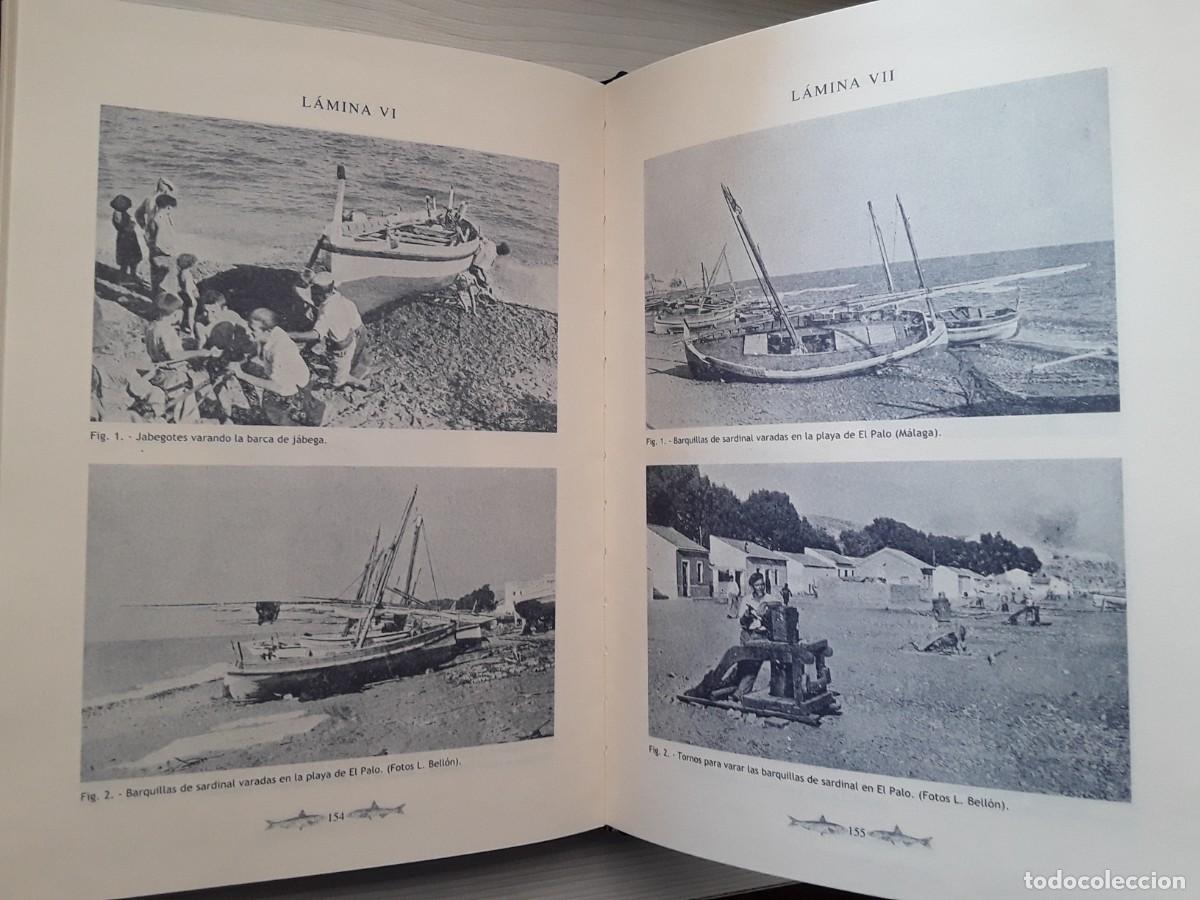 Libros de segunda mano: EL BOQUER&Oacute;N Y LA SARDINA DE M&Aacute;LAGA. LUIS BELL&Oacute;N. - Foto 2