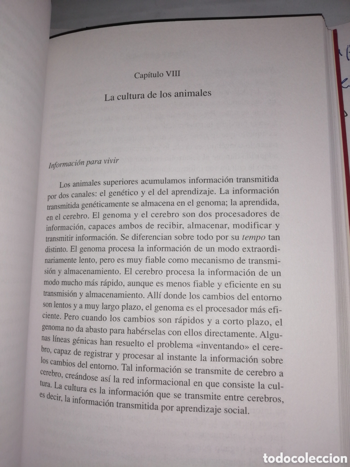 Libros de segunda mano: Vivan los Animales (Primera edici&oacute;n) - Foto 13