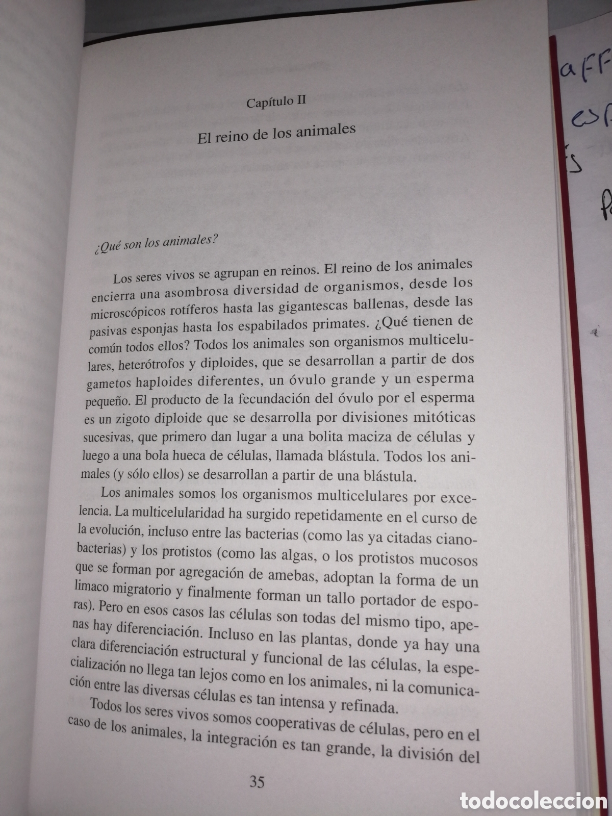 Libros de segunda mano: Vivan los Animales (Primera edici&oacute;n) - Foto 14