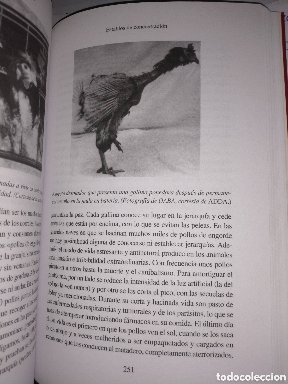 Libros de segunda mano: Vivan los Animales (Primera edici&oacute;n) - Foto 18