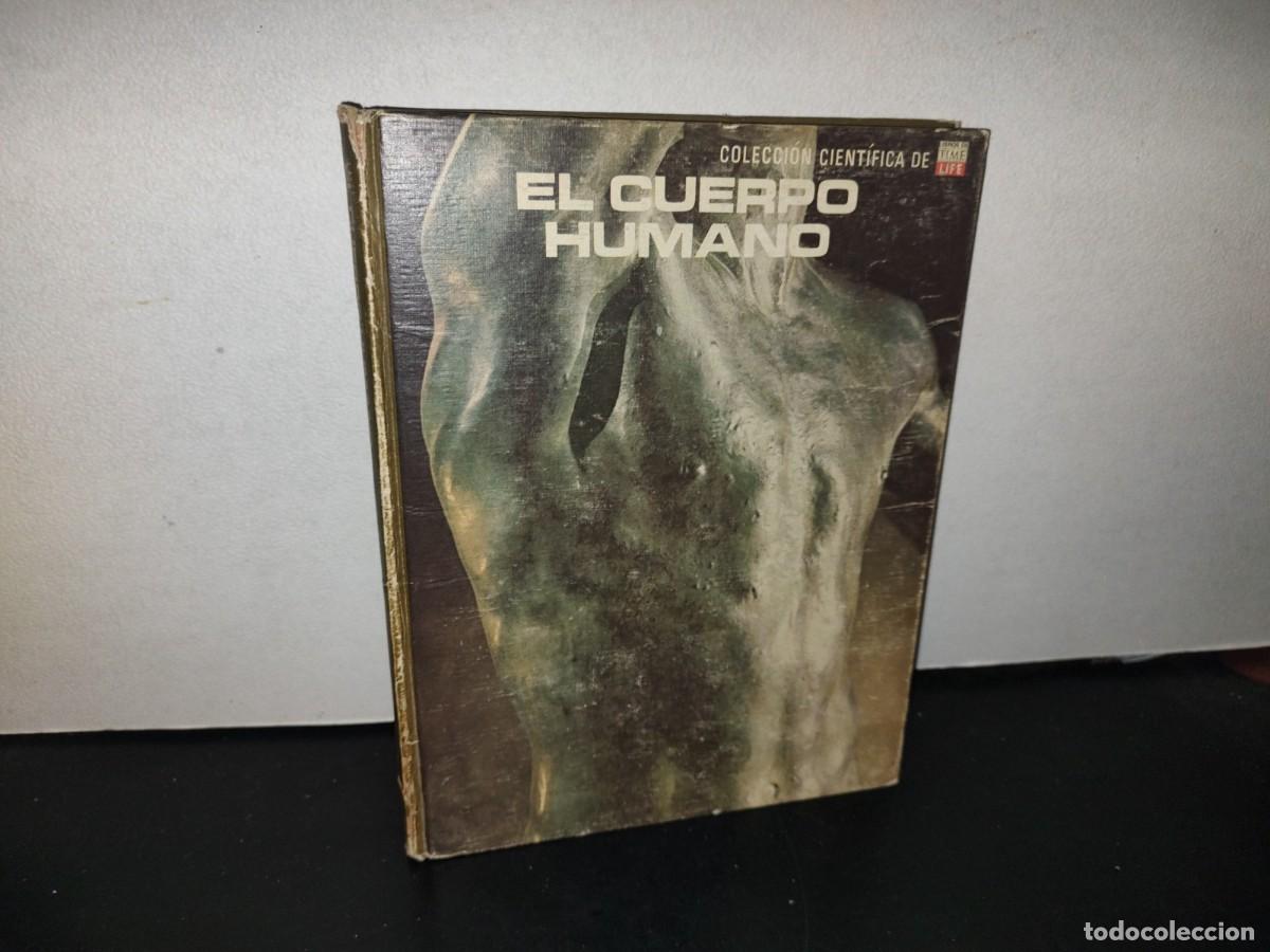 Libros de segunda mano: 121- EL CUERPO HUMANO. COLECCI&Oacute;N CIENT&Iacute;FICA TIME LIFE - Foto 1