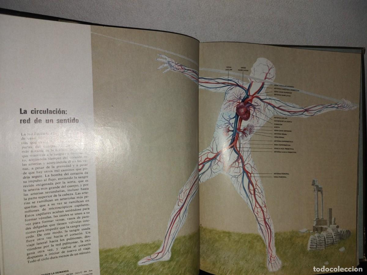 Libros de segunda mano: 121- EL CUERPO HUMANO. COLECCI&Oacute;N CIENT&Iacute;FICA TIME LIFE - Foto 6