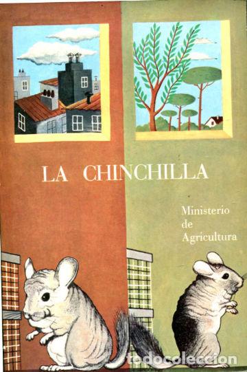 Libros de segunda mano: LA CHINCHILLA. - AYALA MARTIN Emilio. - Foto 1