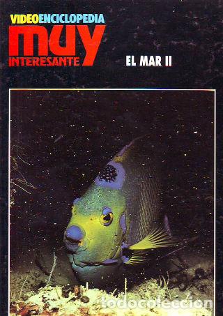 Libros de segunda mano: EL MAR (DOS TOMOS). - TOLA Jose. - Foto 1