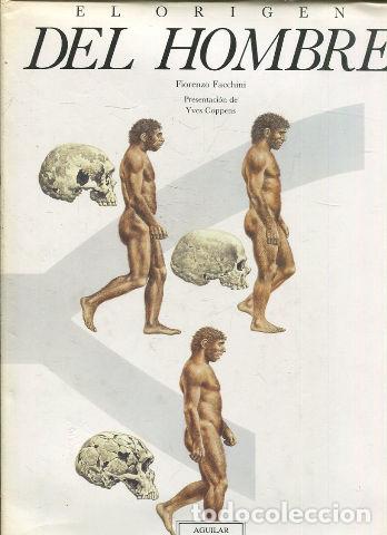 Libros de segunda mano: EL ORIGEN DEL HOMBRE. - FACCHINI Fiorenzo. - Foto 1