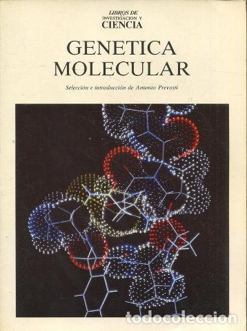 Libros de segunda mano: GENETICA MOLECULAR. - PREVOSTI Antonio. - Foto 1