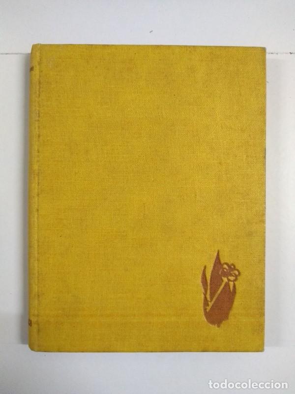 Libros de segunda mano: Adolfo - Benjamin Constant - Foto 1