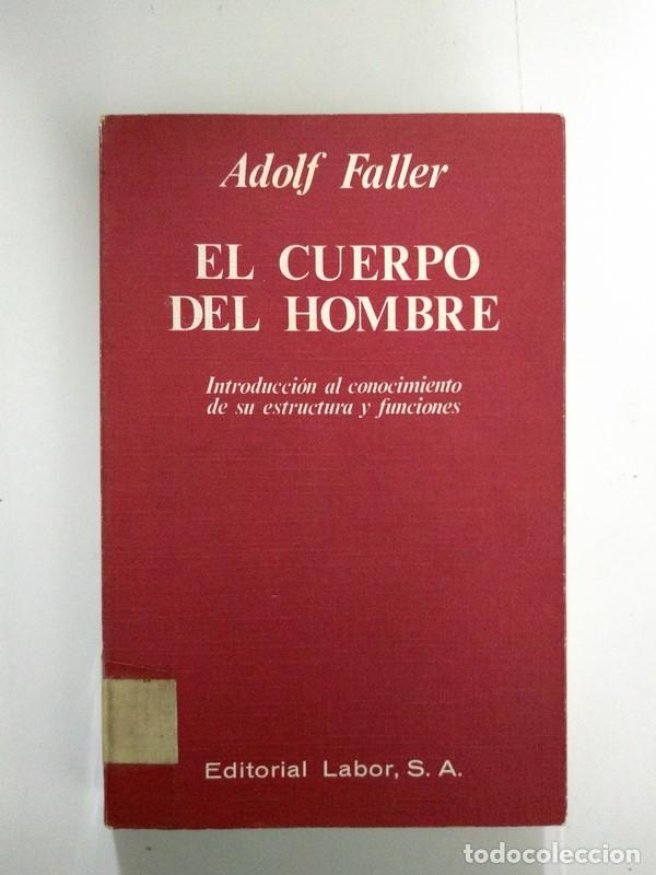 Libros de segunda mano: El cuerpo del hombre - Adolf Faller - Foto 1