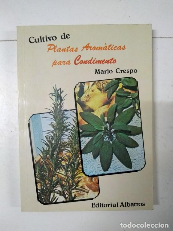 Libros de segunda mano: Plantas Arom&aacute;ticas para Condimento - Mario Crespo - Foto 1