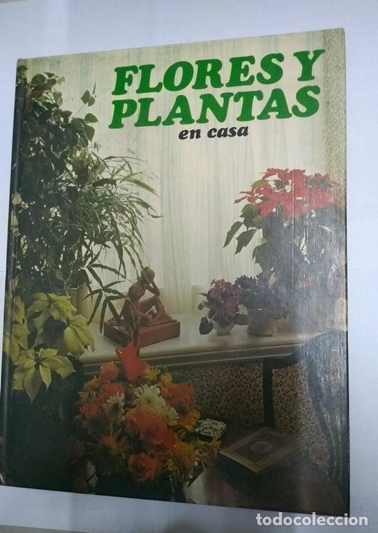 Libros de segunda mano: Flores y plantas en casa - Violet Stevenson - Foto 1