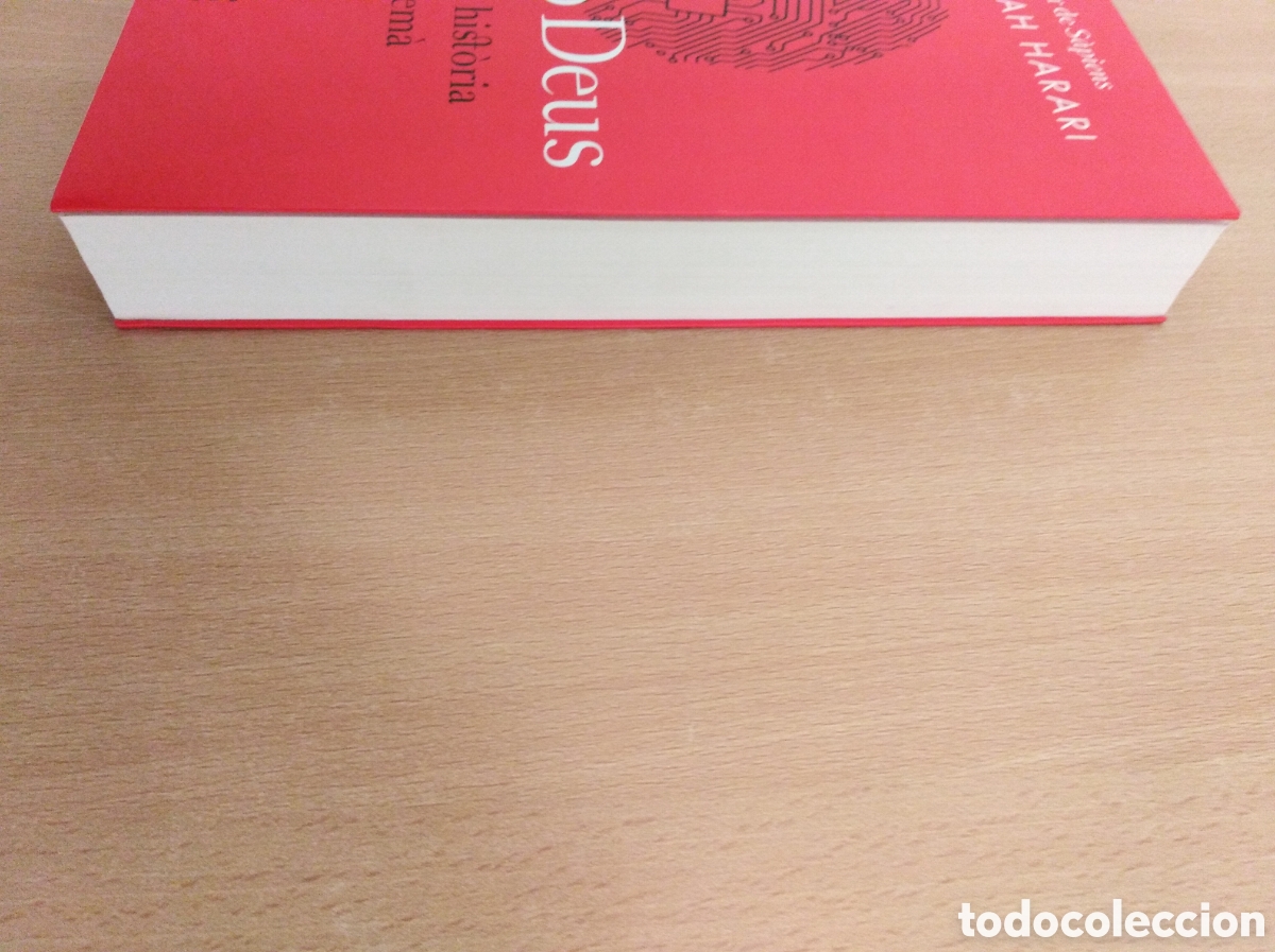 Libros de segunda mano: HOMO DEUS. Yuval Noah Harari - Foto 6