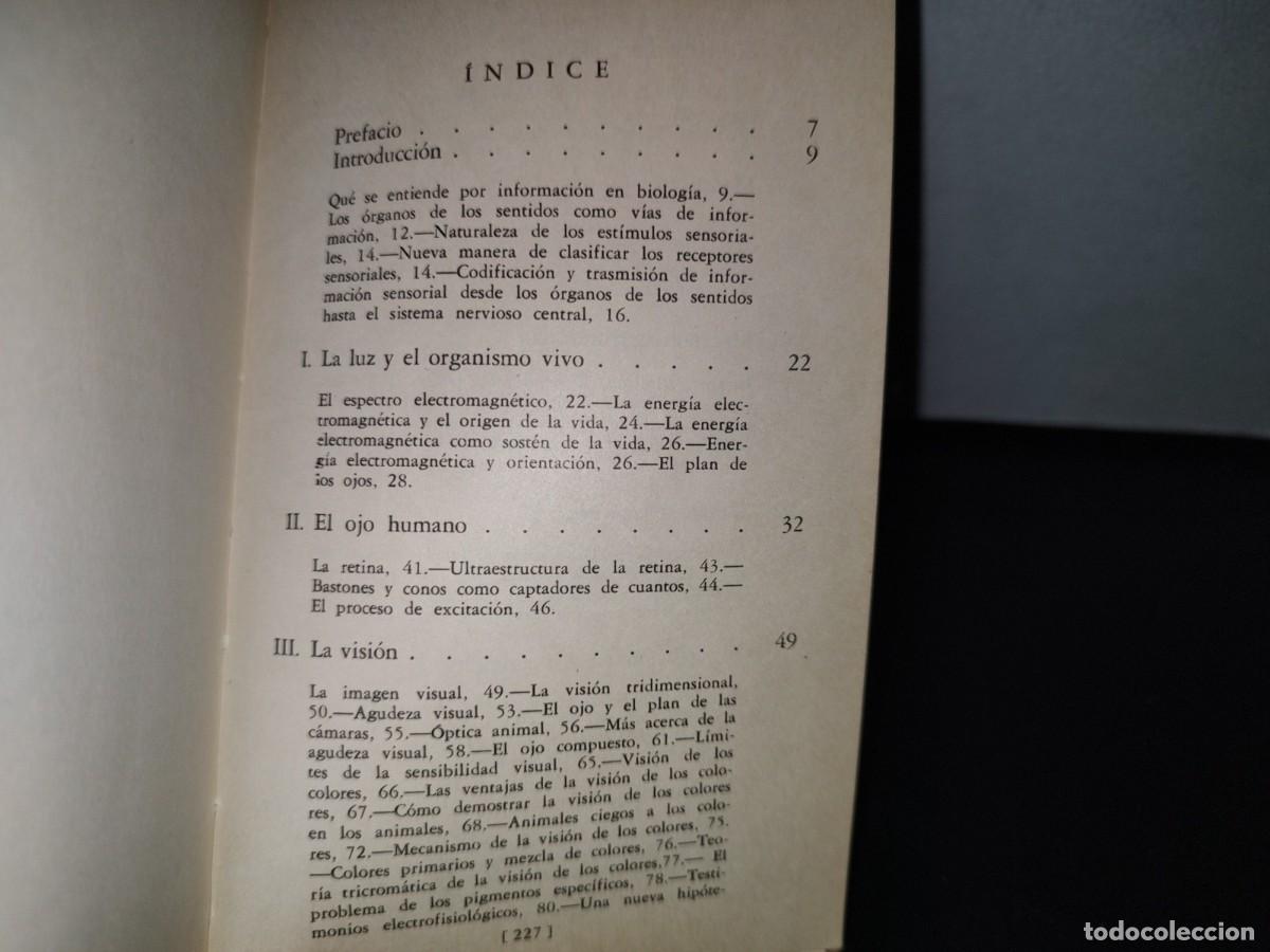 Libros de segunda mano: 87- LOS SENTIDOS - OTTO E. LOWENSTEIN - BREVIARIOS - 1969 - Foto 5