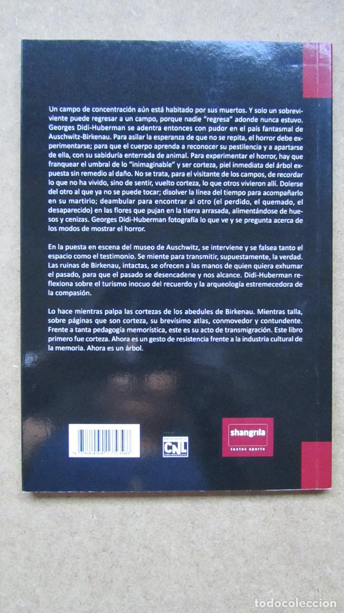 Libros de segunda mano: Cortezas Didi-Huberman, Georges - Foto 2