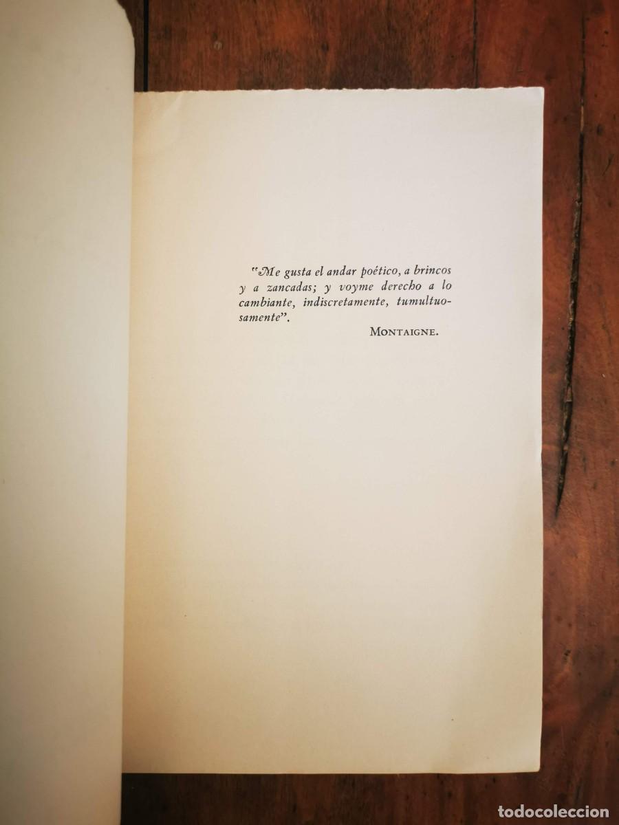 Libros de segunda mano: LARRETA, Enrique. La naranja - Foto 3