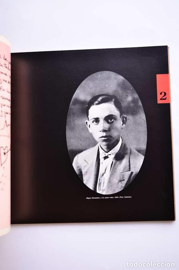 Libros de segunda mano: Documenta Miguel Hern&aacute;ndez 1985 - AUTORES VARIOS - Foto 5