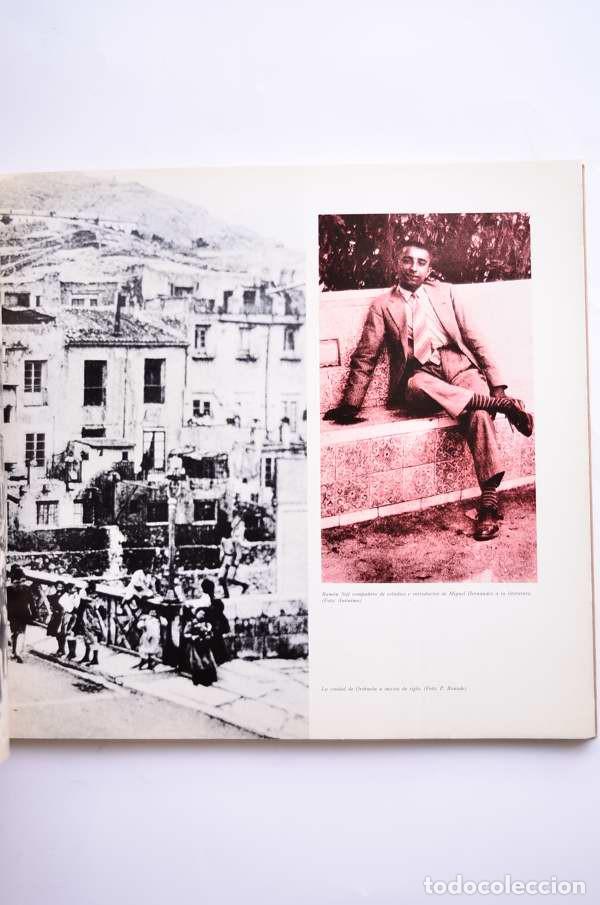 Libros de segunda mano: Documenta Miguel Hern&aacute;ndez 1985 - AUTORES VARIOS - Foto 6