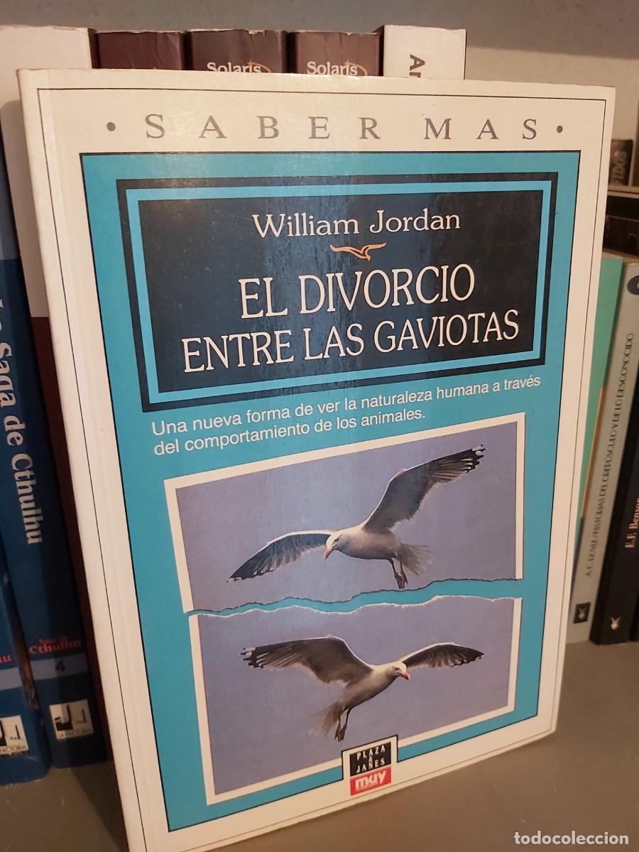 Libros de segunda mano: EL DIVORCIO ENTRE LAS GAVIOTAS: WILLIAM JORDAN - Foto 1