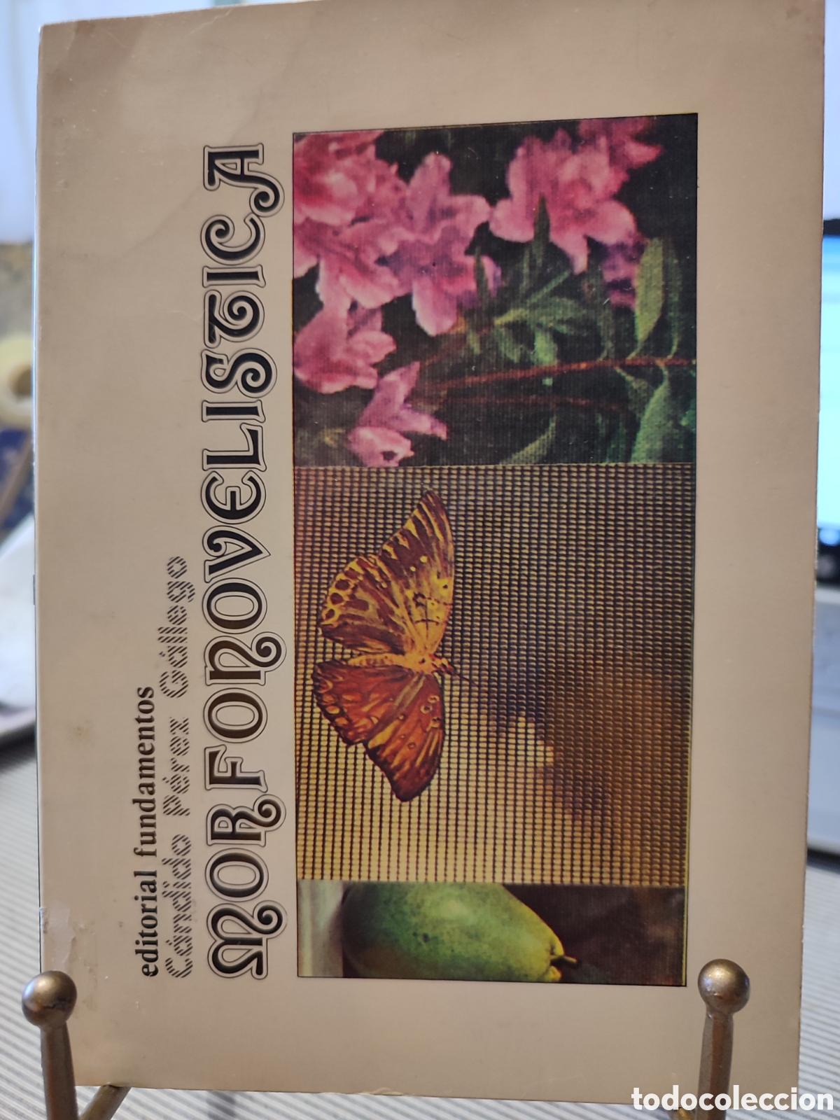 Libros de segunda mano: MORFONOVEL&Iacute;STICA. Dedicatoria del autor. - Foto 1