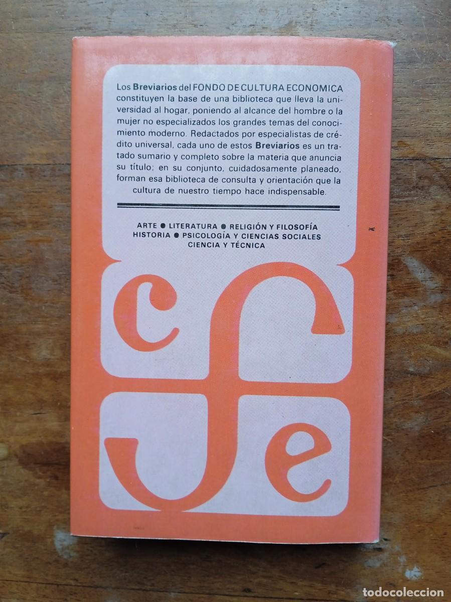 Libros de segunda mano: Los hacedores de mapas. Andr&eacute; Brink - Foto 7