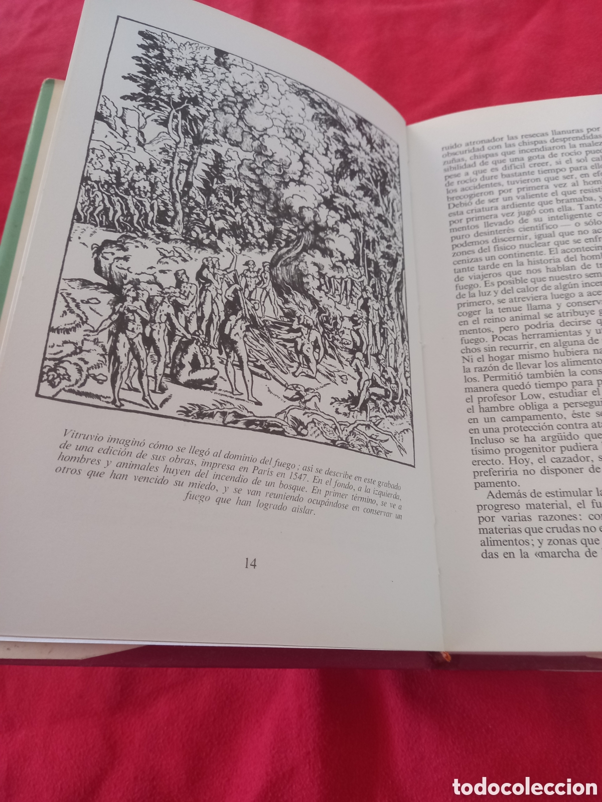 Libros de segunda mano: Los fuegos del hogar. Ladrones Wright. - Foto 5