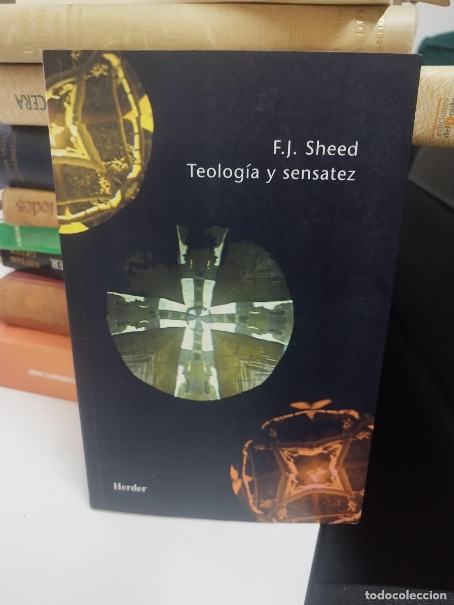 Libros de segunda mano: Teolog&iacute;a y sensatez - Sheed, Frank J. - Foto 1