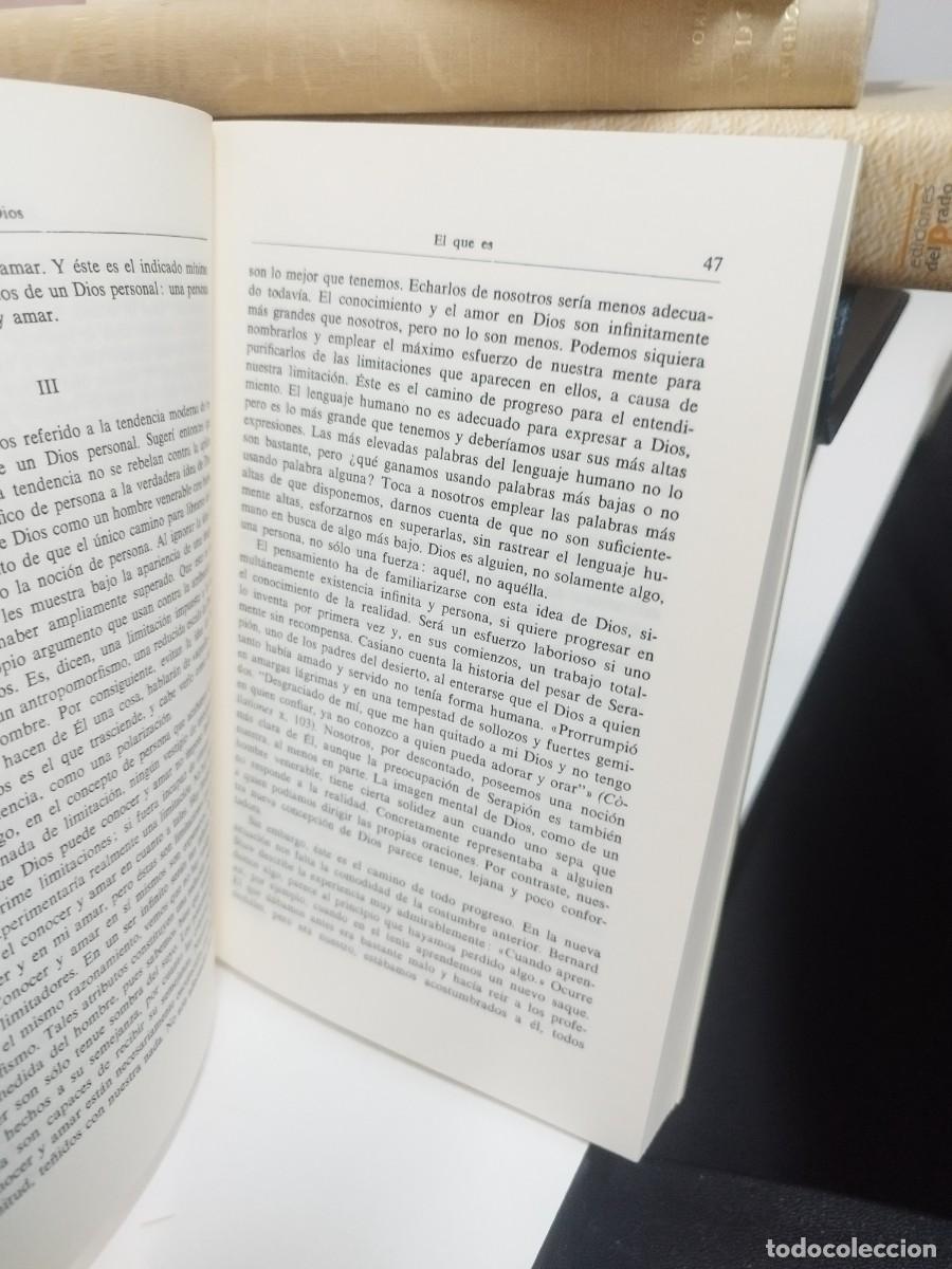 Libros de segunda mano: Teolog&iacute;a y sensatez - Sheed, Frank J. - Foto 4