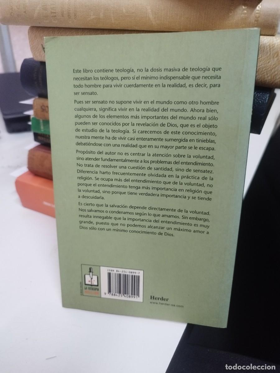 Libros de segunda mano: Teolog&iacute;a y sensatez - Sheed, Frank J. - Foto 5