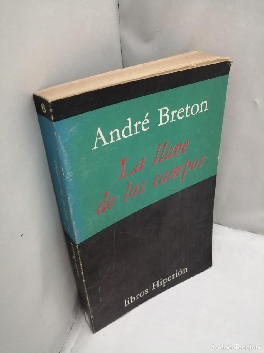Libros de segunda mano: La llave de los campos (Primera edici&oacute;n) - Foto 3