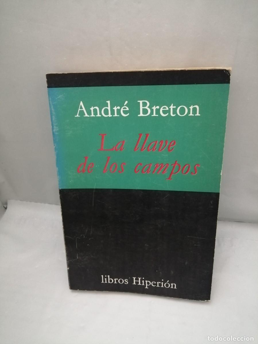 Libros de segunda mano: La llave de los campos (Primera edici&oacute;n) - Foto 1
