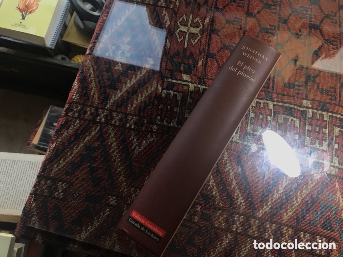 Libros de segunda mano: El pico del Pinz&oacute;n. Jonathan Weiner - Foto 2