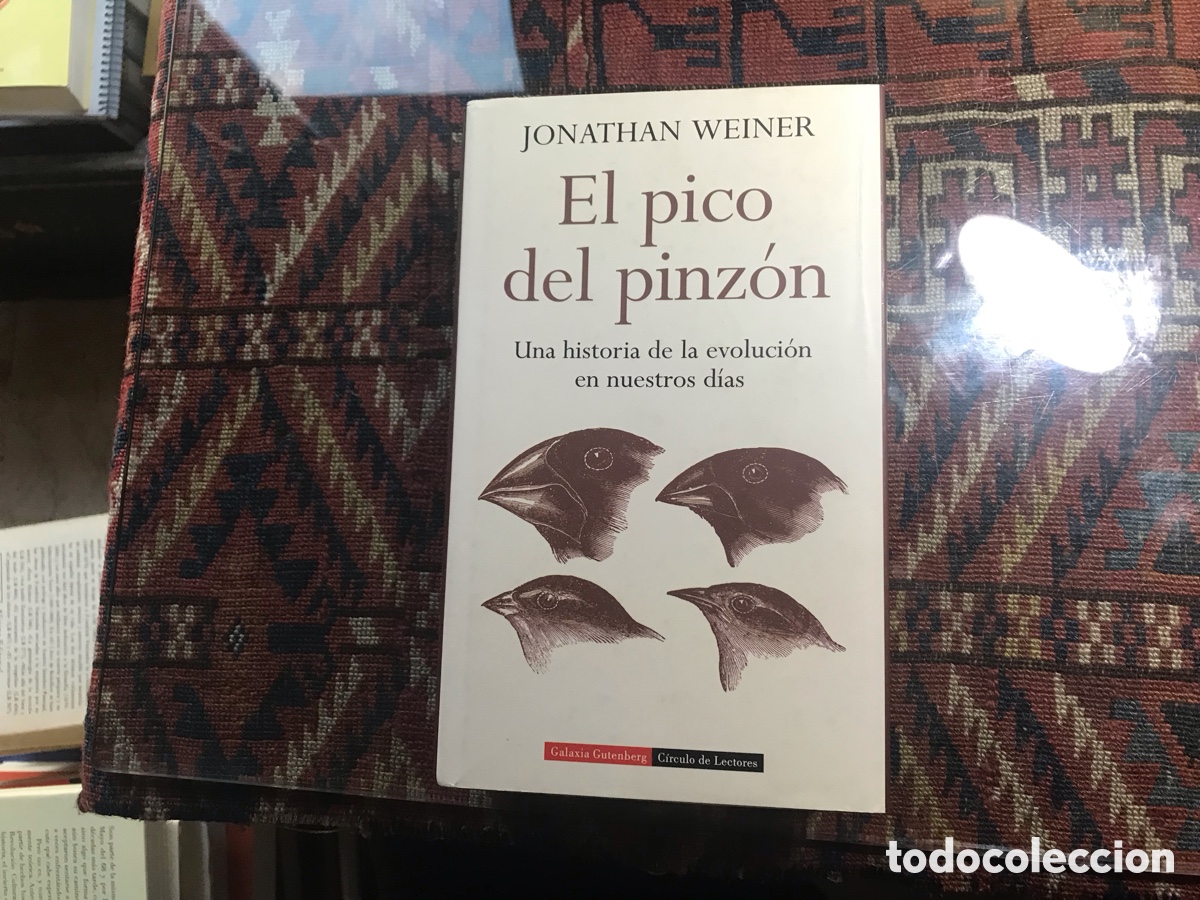 Libros de segunda mano: El pico del Pinz&oacute;n. Jonathan Weiner - Foto 1